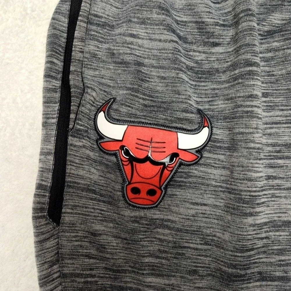 Chicago Bulls Nike Jogger Pants Mens XL Gray NBA Dri-FIT Basketball Taper 932722